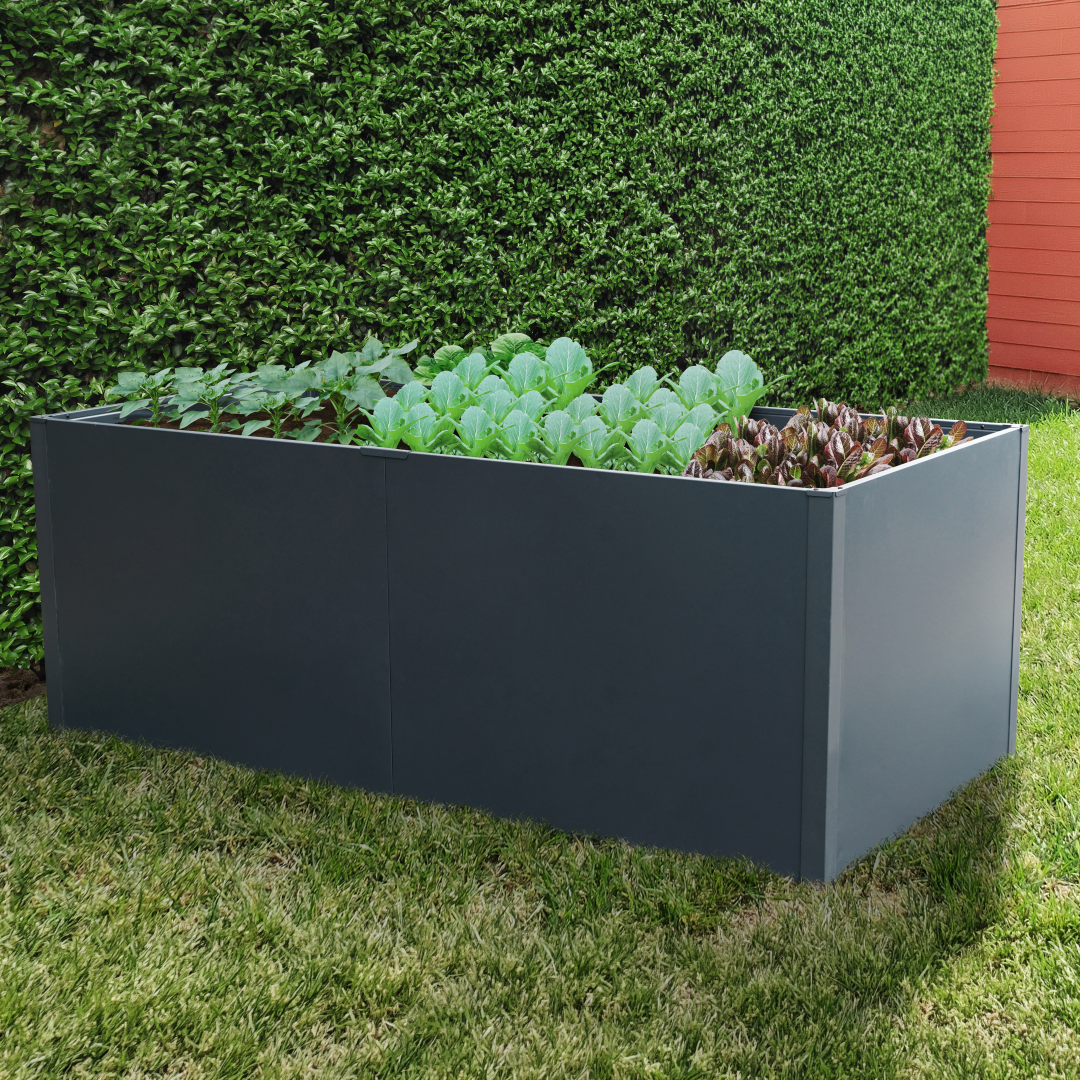 Komplett-Set Hochbeet Twin-Wall XL 200 x 100 x 76 cm & Regadio Bewässerungssystem